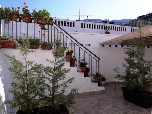 Al Saliceto Hotel