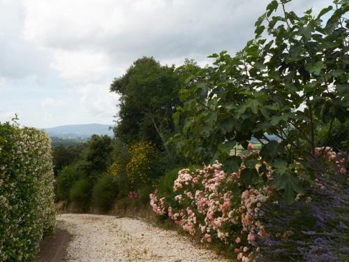 Petrognano Villa Sleeps 16 Pool Air Con Wifi