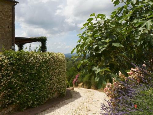 Petrognano Villa Sleeps 16 Pool Air Con Wifi