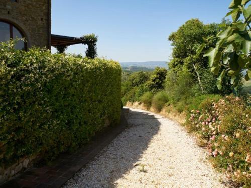 Petrognano Villa Sleeps 16 Pool Air Con Wifi