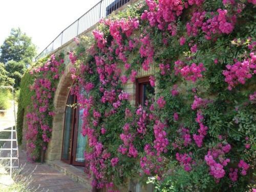 Petrognano Villa Sleeps 16 Pool Air Con Wifi