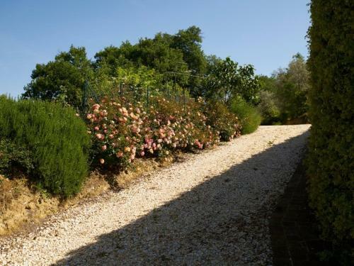 Petrognano Villa Sleeps 16 Pool Air Con Wifi