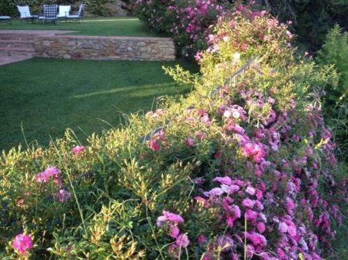 Petrognano Villa Sleeps 16 Pool Air Con Wifi