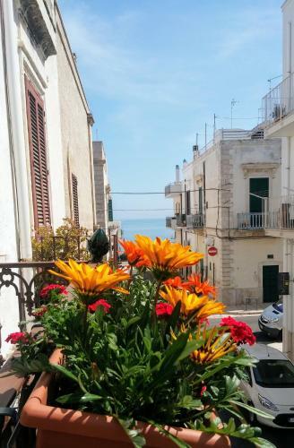 Bed & Breakfast Torres Suite