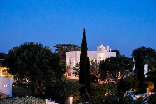 Polignano A Mare Villa Sleeps 12 Pool Air Con Wifi