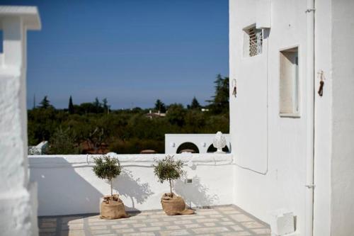 Polignano A Mare Villa Sleeps 12 Pool Air Con Wifi