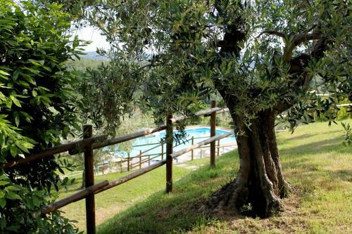 Agroturismo Agriturismo Malagronda