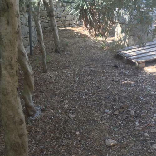 Apartamento Al Grande Albero Ospitalit� Sicula
