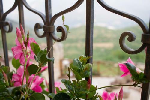 Hostal Charme In Perillis