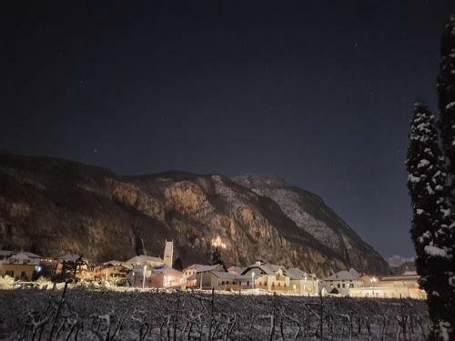 Hotel Albergo Gasthof Salurn