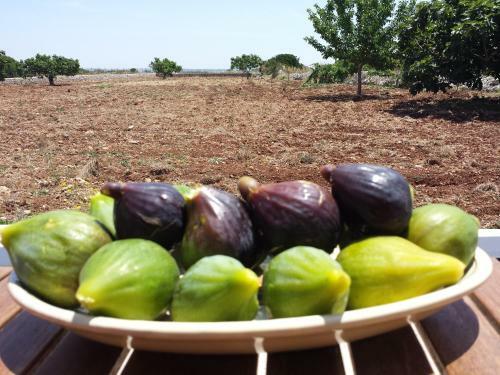 Agroturismo Tenuta Palmira
