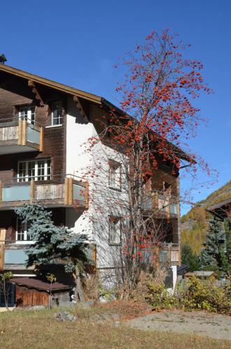 Apartamentos Haus Alpenperle