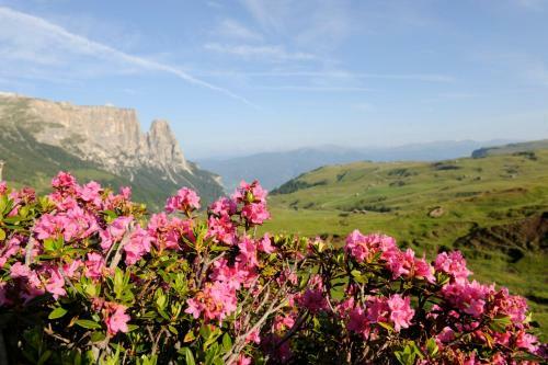 Apartments Sella