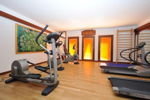 Roxy Plaza Apartment Soave