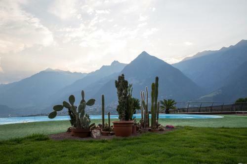 Apartamento Hammele Appartements