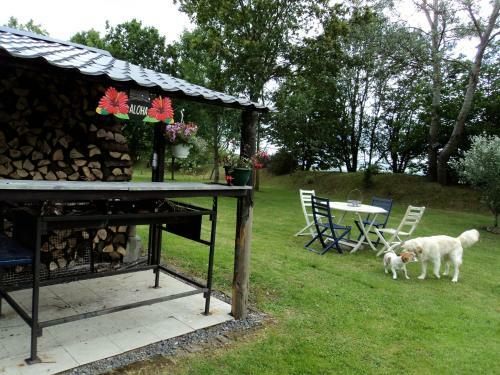 B&B La Niouche