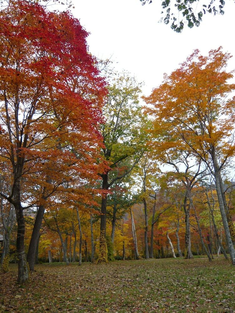 Hotel Kyukamura Shikotsuko