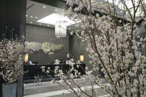 Hotel Ole
