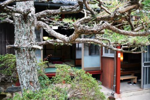 Guesthouse En