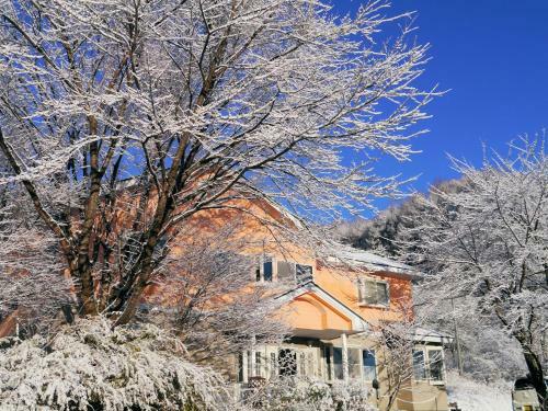 Posada Pension Green Field
