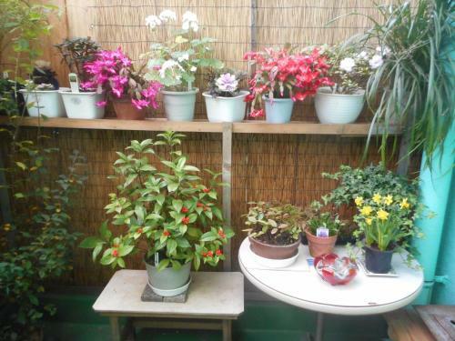 Jgh Tokyo Hostel