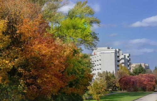 Hotel Park