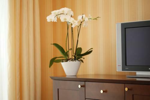 Hotel Sandor Pavillon