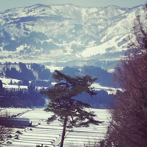 Lodge Nozawa Onsen Basecamp