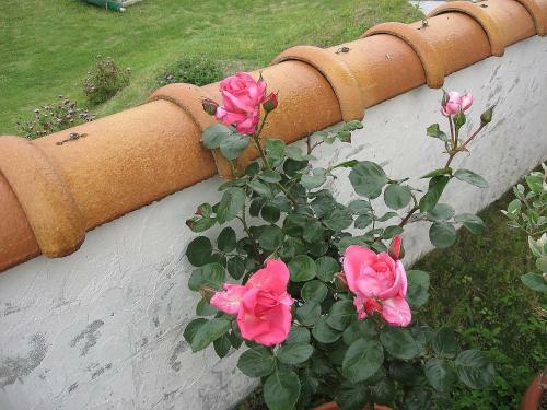 Hostal Hillside Inn Sirocco