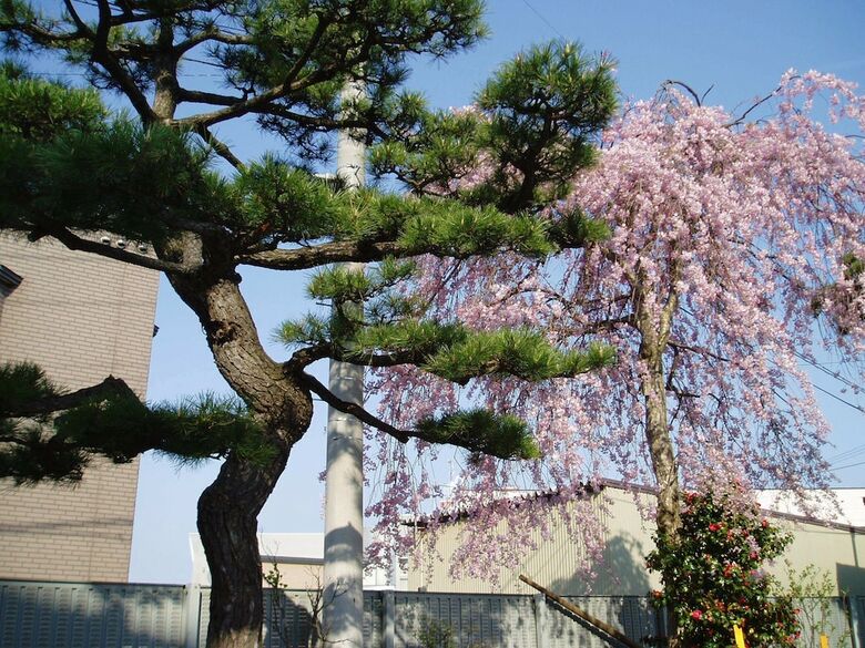Mutsu Park Hotel
