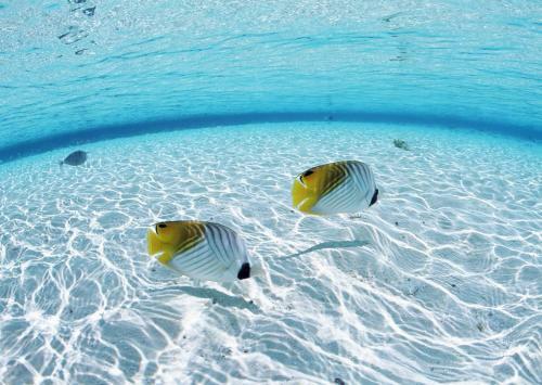Hotel Petit Resort Native Sea Amami