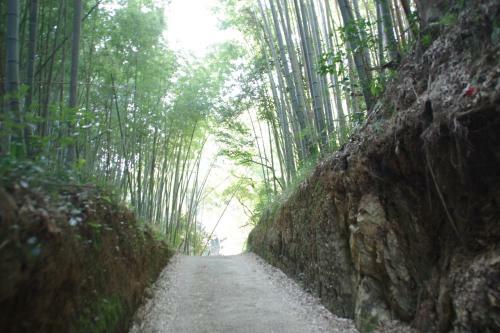 Hostal Kamome Nb