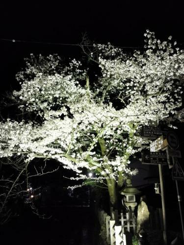 Hostal Hida Takayama Relax Hostel Bettei Fuji
