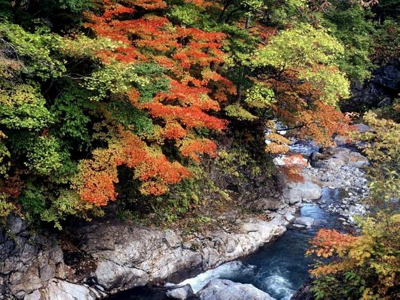 Yamayuri No Yado