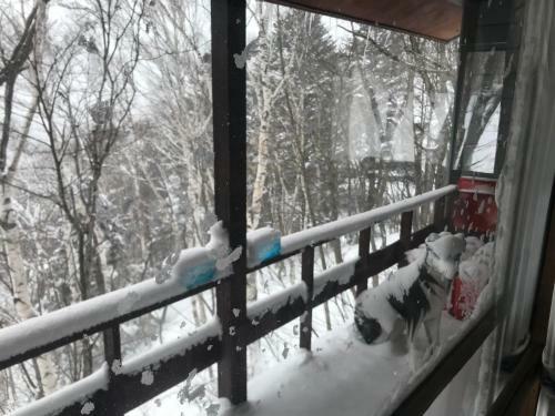 Naeba Ski Resort - Cottage Away From Usual Life