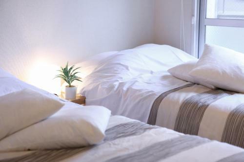 Apartamento Paraiso Inn
