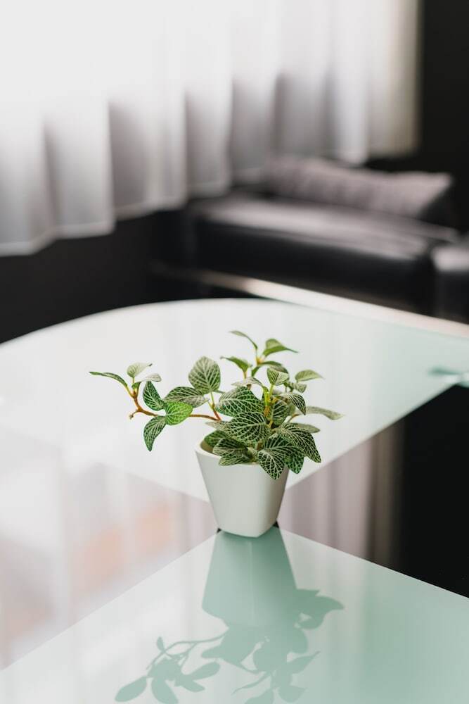 Apartamento Grand Base Tenjin