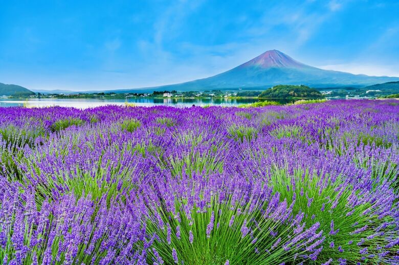 Hotel Mystays Fuji Onsen Resort