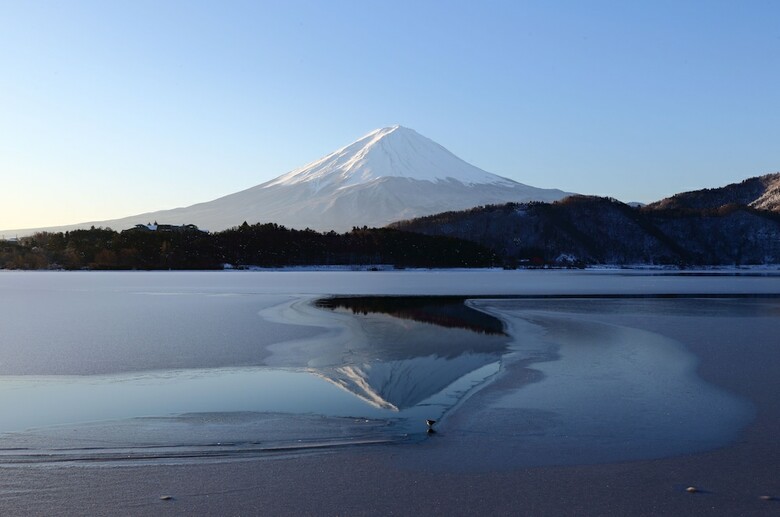 Hotel Mystays Fuji Onsen Resort