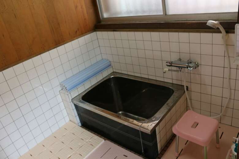 Lodge Yakusugi House
