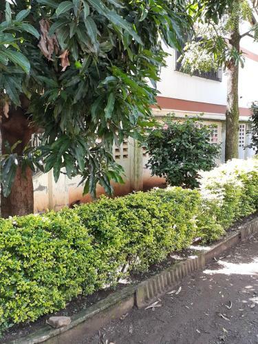 Bed & Breakfast Annodas Homes Milimani Kisumu
