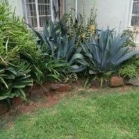 Hostal Muremba Retreat Kitale