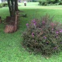 Hostal Muremba Retreat Kitale