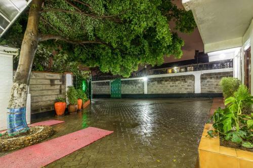 Bed & Breakfast Javilla Eagles Safari Guest House
