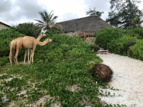 Hotel Sunset Beach Resort