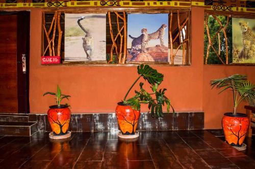 Lodge Mara Chui Resort