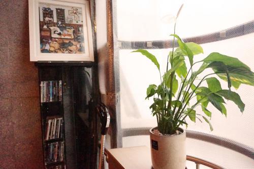 Hostal Able Guesthouse Hongdae 2