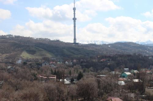 Apartment On Dostyk 162