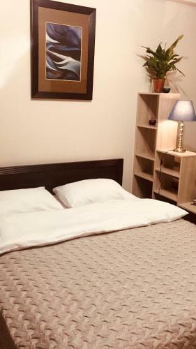 Nexus Apartaments