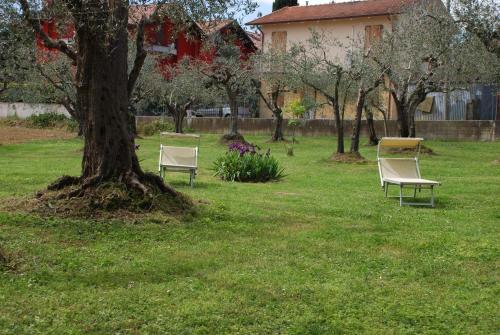 B&B Parco Degli Ulivi